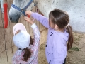 img_20250611_101551396
