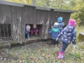 img_20211014_164831