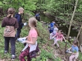 img-20250424-wa0000
