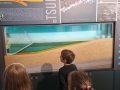 img_20260616_094414935