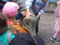 img_20260616_121614681