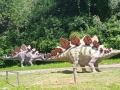 img_20260616_124737766