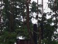 20260601_090558