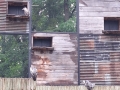 20260601_090806