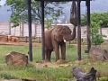 20260601_100209