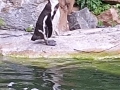 20260601_125317