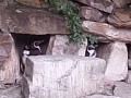 20260601_125336
